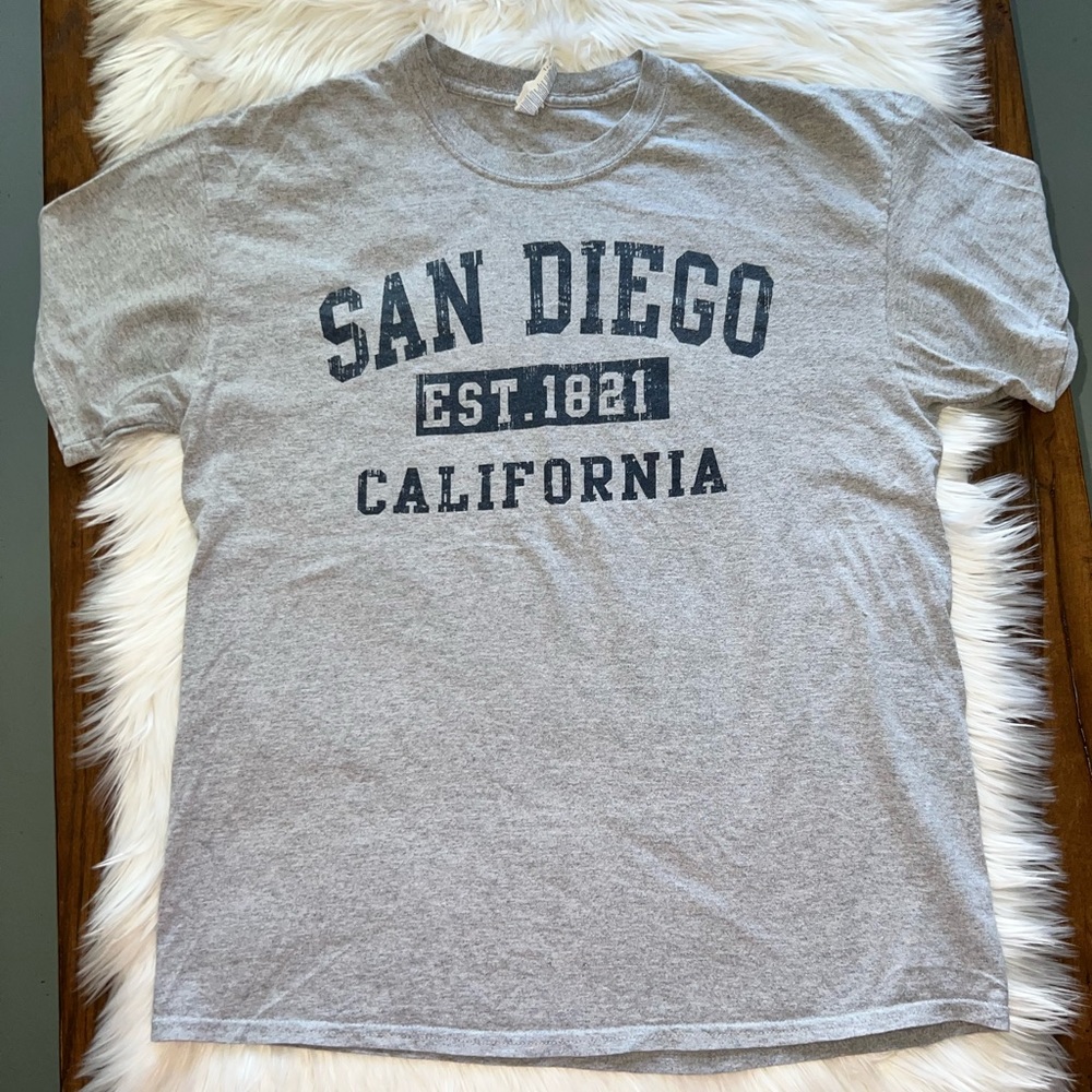San Diego California graphic T-shirt men/unisex size Large gray/blue